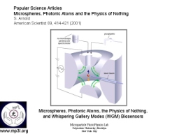 Whispering Gallery Mode Biosensor 008.JPG